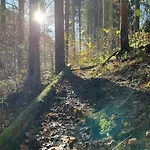 Charmante In Mastershausen/hunsrueck شقة *