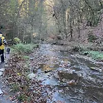 شقة Charmante In Mastershausen/hunsrueck *