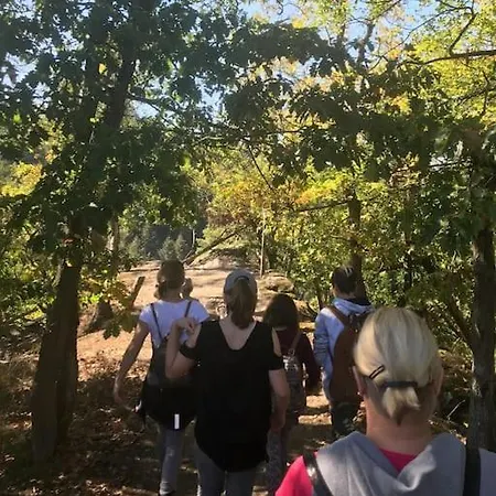 Charmante In Mastershausen/hunsrueck * Mastershausen