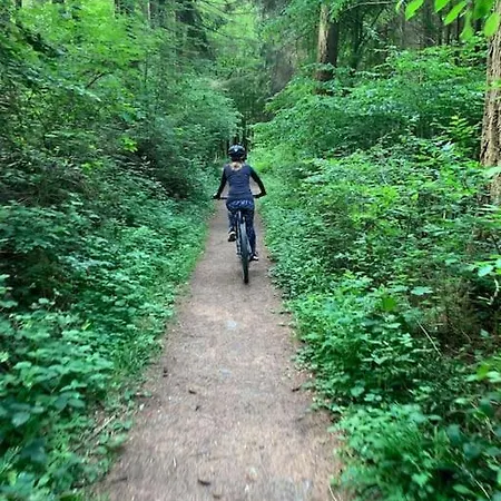 Charmante In Mastershausen/hunsrück Mastershausen