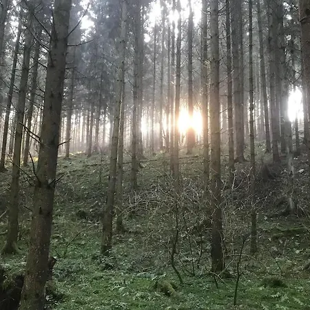 Charmante In Mastershausen/hunsrueck Lejlighed *