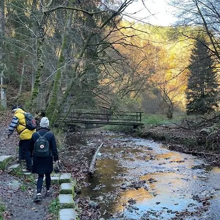 Charmante In Mastershausen/hunsrueck