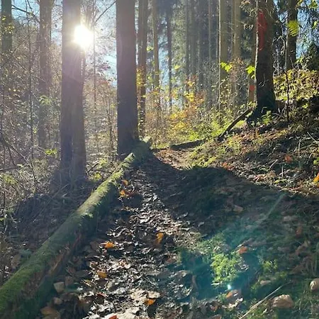 Charmante In Mastershausen/hunsrück Apartamento *