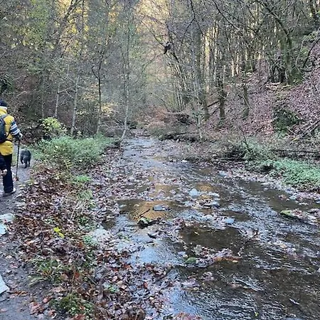 Apartamento Charmante In Mastershausen/hunsrück *