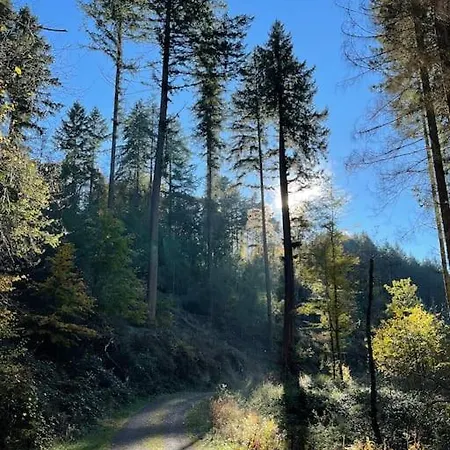 Charmante In Mastershausen/hunsrück * Mastershausen