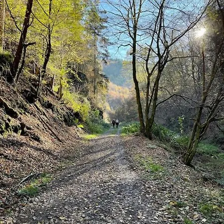 Charmante In Mastershausen/hunsrück *