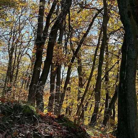 Charmante In Mastershausen/hunsrück Apartamento