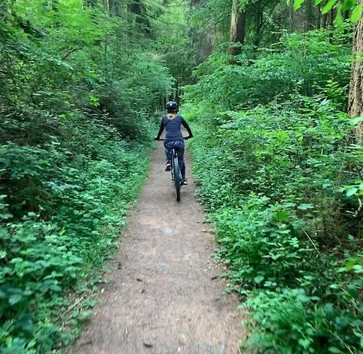 Charmante In Mastershausen/hunsrueck Mastershausen