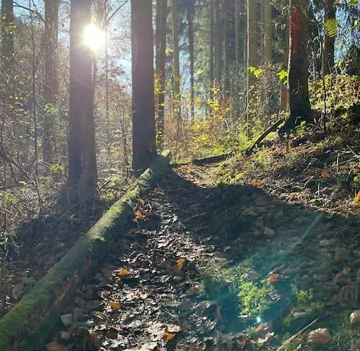 Charmante In Mastershausen/hunsrueck Apartament *