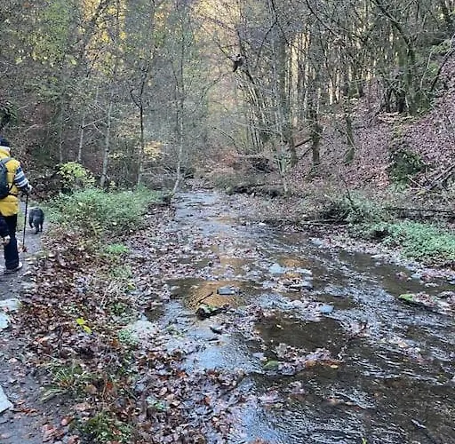 Apartament Charmante In Mastershausen/hunsrueck *