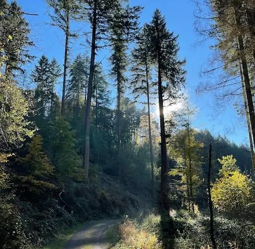 Charmante In Mastershausen/hunsrueck * Mastershausen