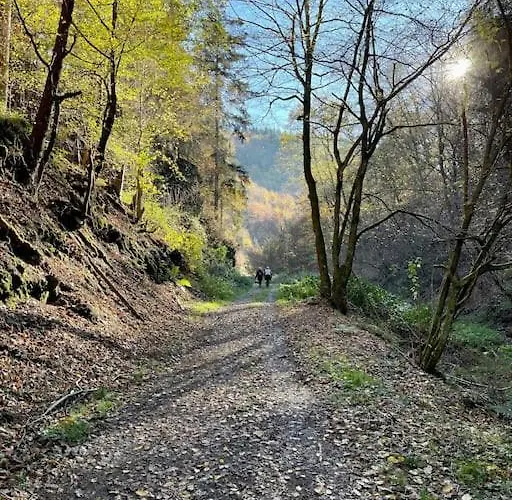 Charmante In Mastershausen/hunsrueck *