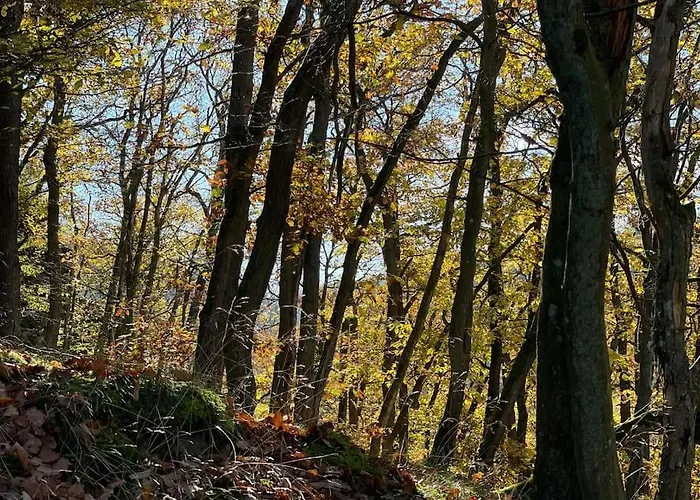 Charmante In Mastershausen/hunsrueck Apartament